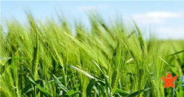 今日股市行情走势如何_ 【机会发掘】到2025年建50个大宗固废综合利用基地 循