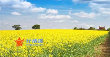 今日股市行情预测最新_ 半导体材料版块大幅走高，行业进入超级景气周期，国产