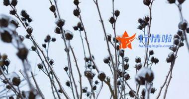 今日股市行情大盘图腰  晚间资讯∣四川开启虚拟货币挖矿项目清退工作；英科医