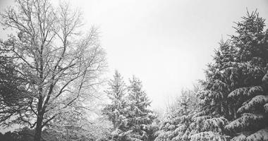 今日股票行情直播_ 润和软件今天复牌 称鸿蒙业务量占较为小 