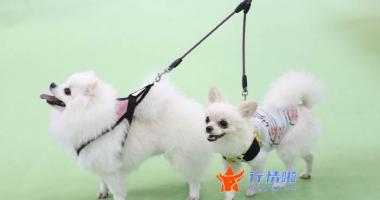 今日股市行情为什么大跌-当前国际环境发生很大变化